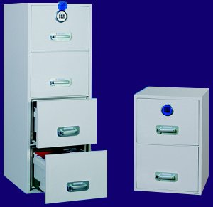 Phoenix Firefile 2230 Series